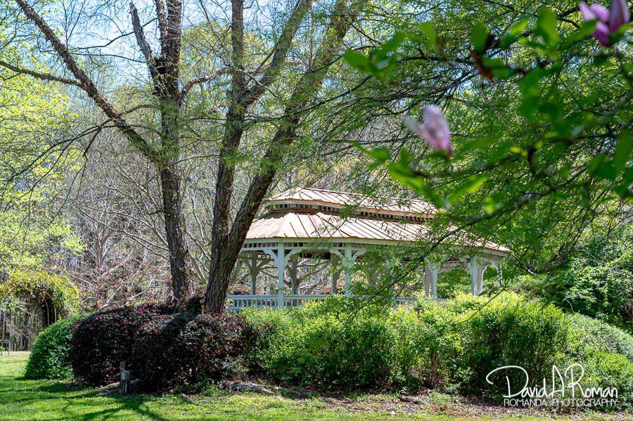 Spring on the farm